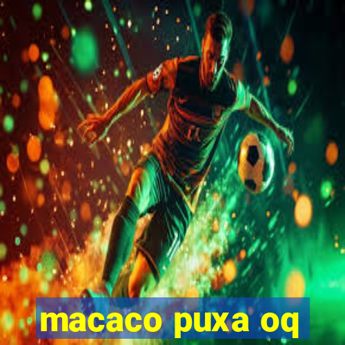 macaco puxa oq
